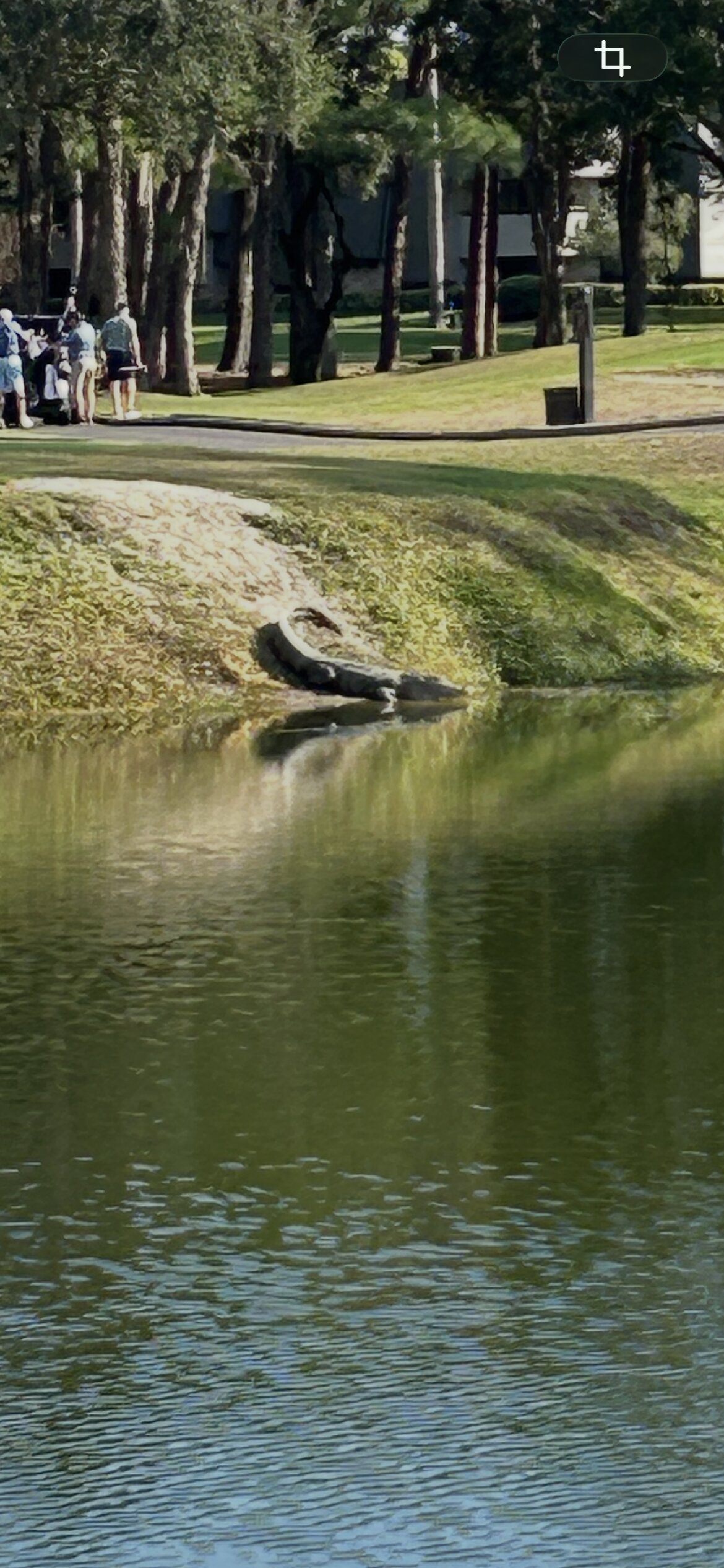 Innisbrook Resort-浴室