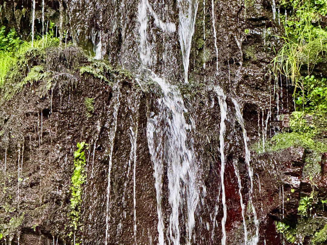 Hollow Brook Waterfall-马汀荷必去景点