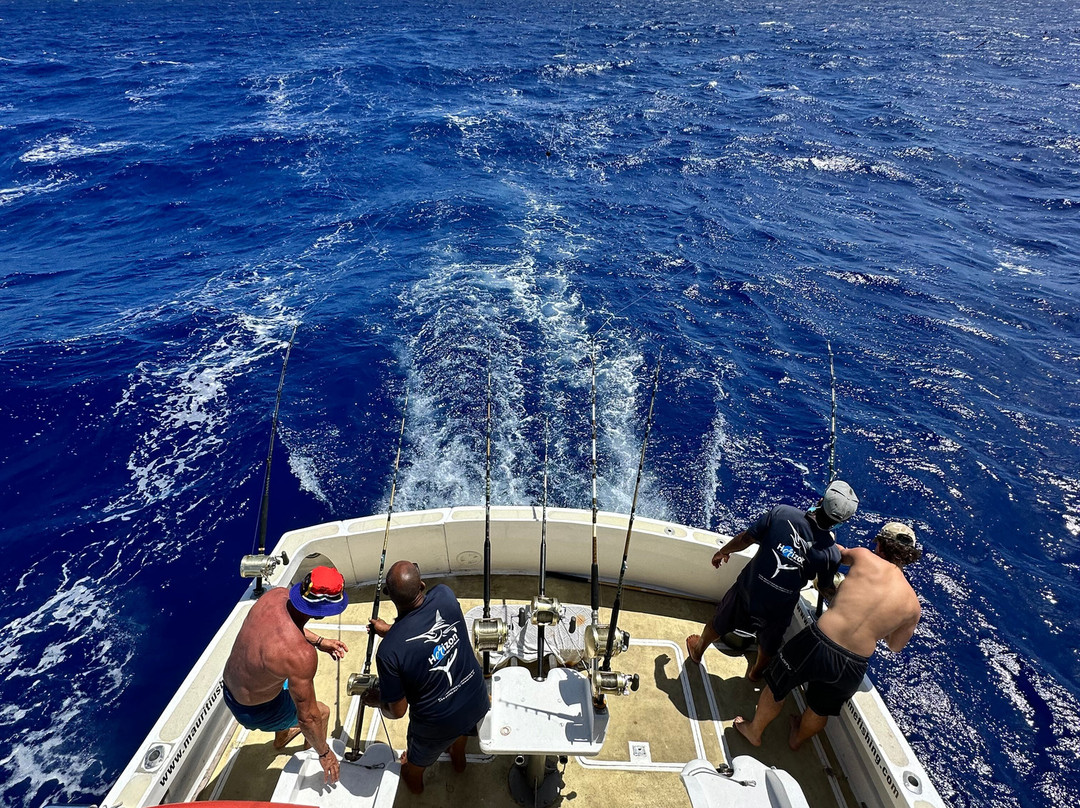 Horizon Fishing-大湾必去景点