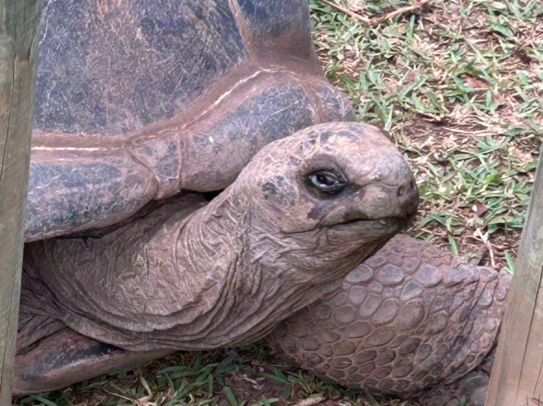 San Taxi-里维耶尔迪朗帕必去景点