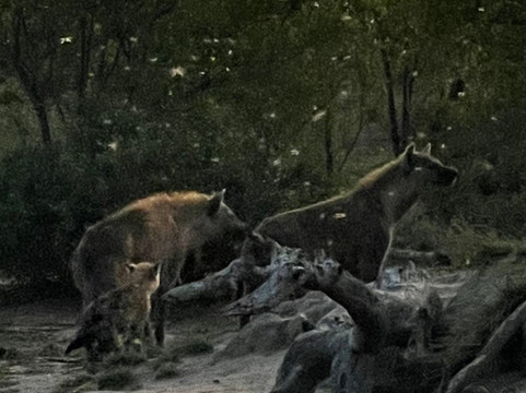 Touched By Nature-雾观必去景点