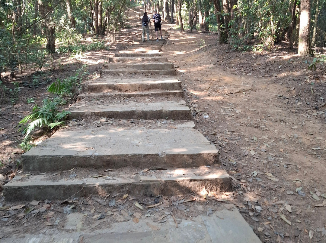纳嘉郡森林保护区-加德满都必去景点