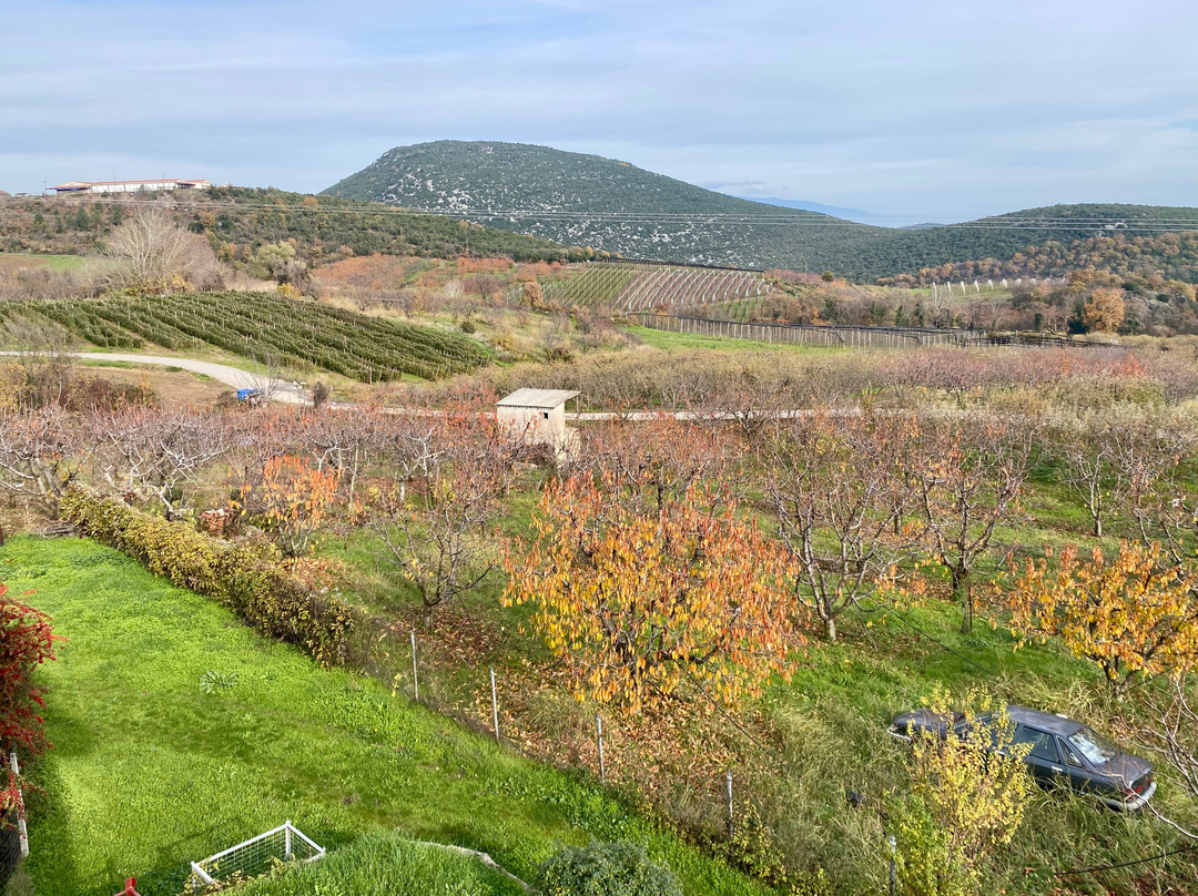 Argatia Winery-Naousa必去景点