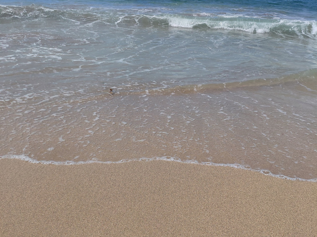 Playa Punta Uva-Punta Uva必去景点