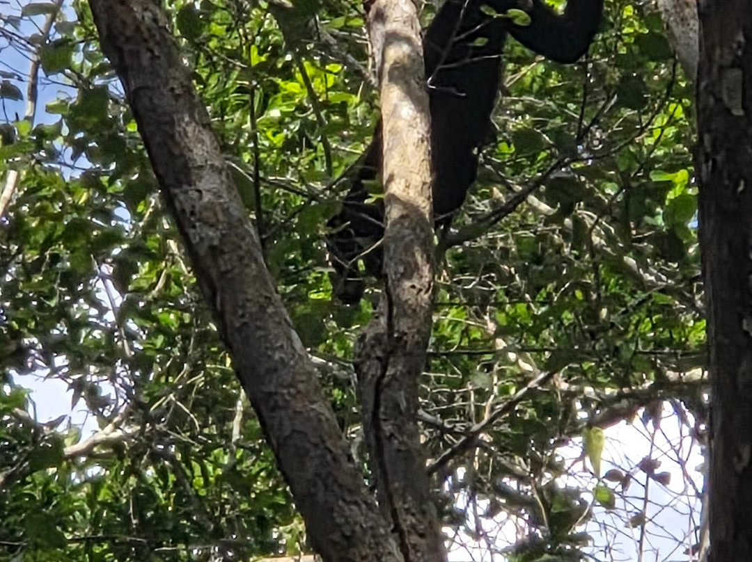 DANTA TOURS-Xpujil Town必去景点