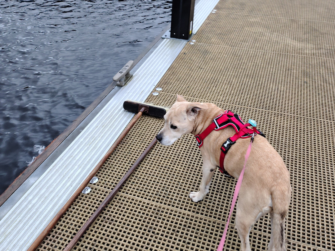 Ivy Cottage-史宾桥必去景点