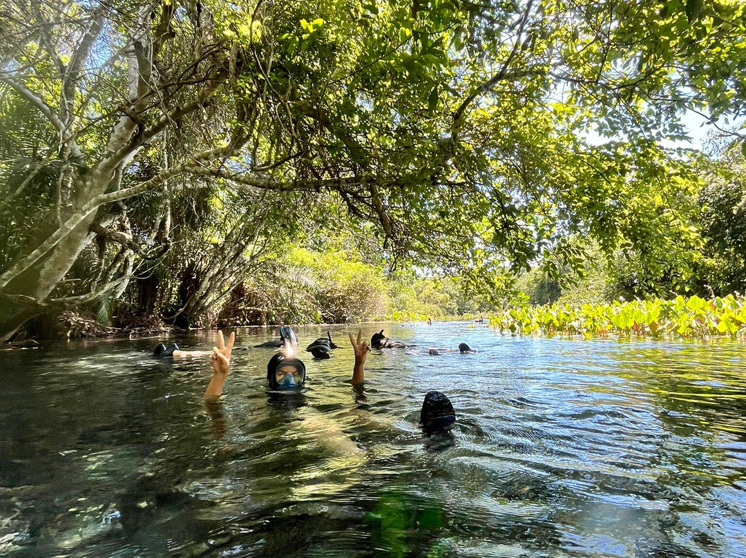 Aquario Natural-博尼图必去景点