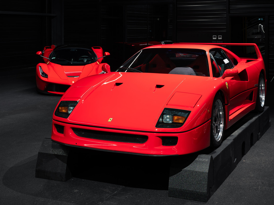 Coligny Car Museum-Coligny必去景点