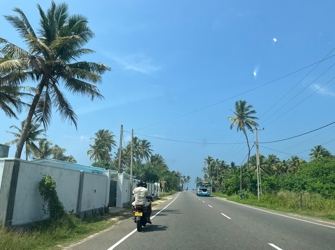 Fernando Tours-希克杜沃必去景点