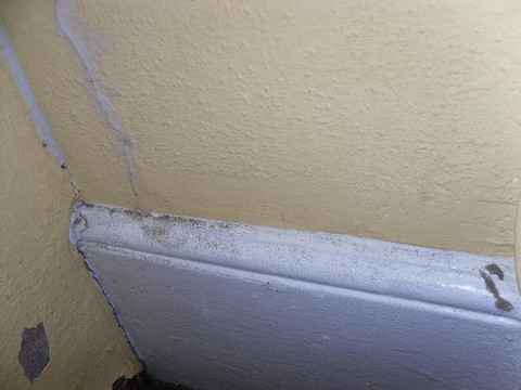 爱丁堡-皇家露台皇冠假日酒店主图