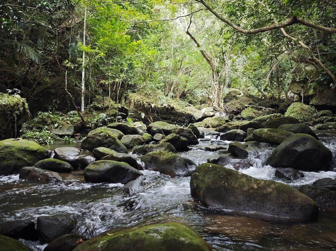 Iriomote Island Kayaks Kazaguruma-竹富町西表岛必去景点
