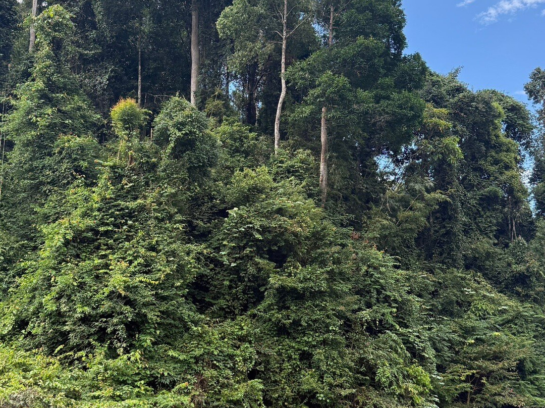 Coral Cave-拷索国家公园必去景点