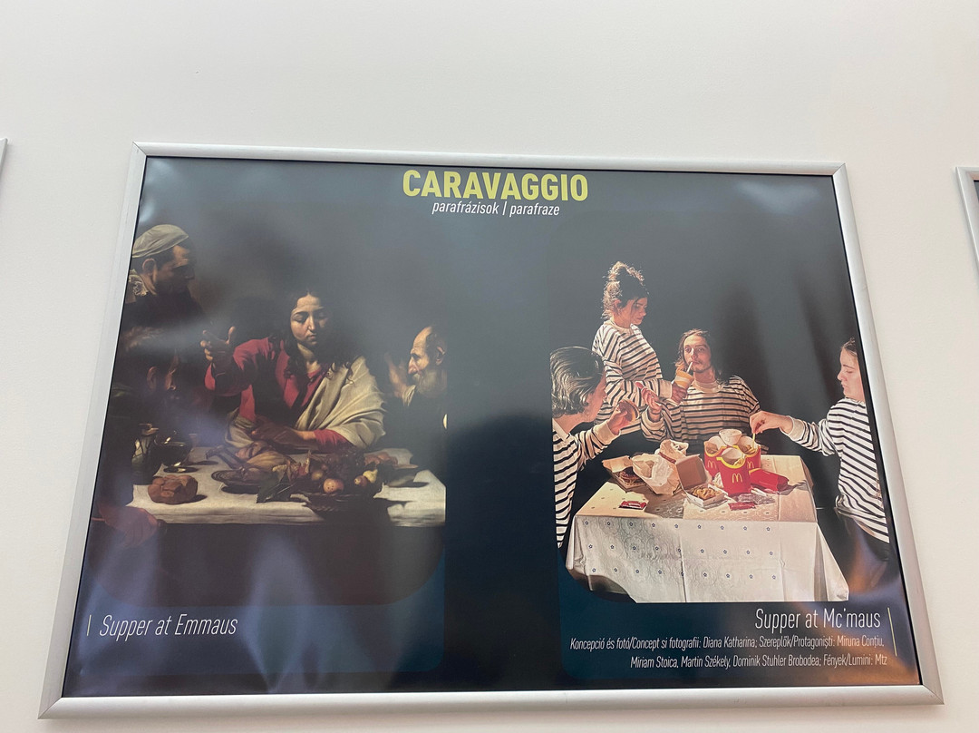 Muzeul Național de Artă Timișoara-蒂米什瓦拉必去景点