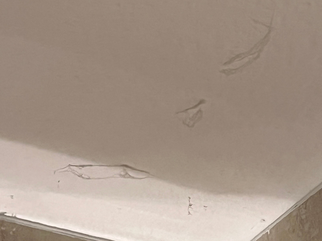 Hotel Lahnschleife主图