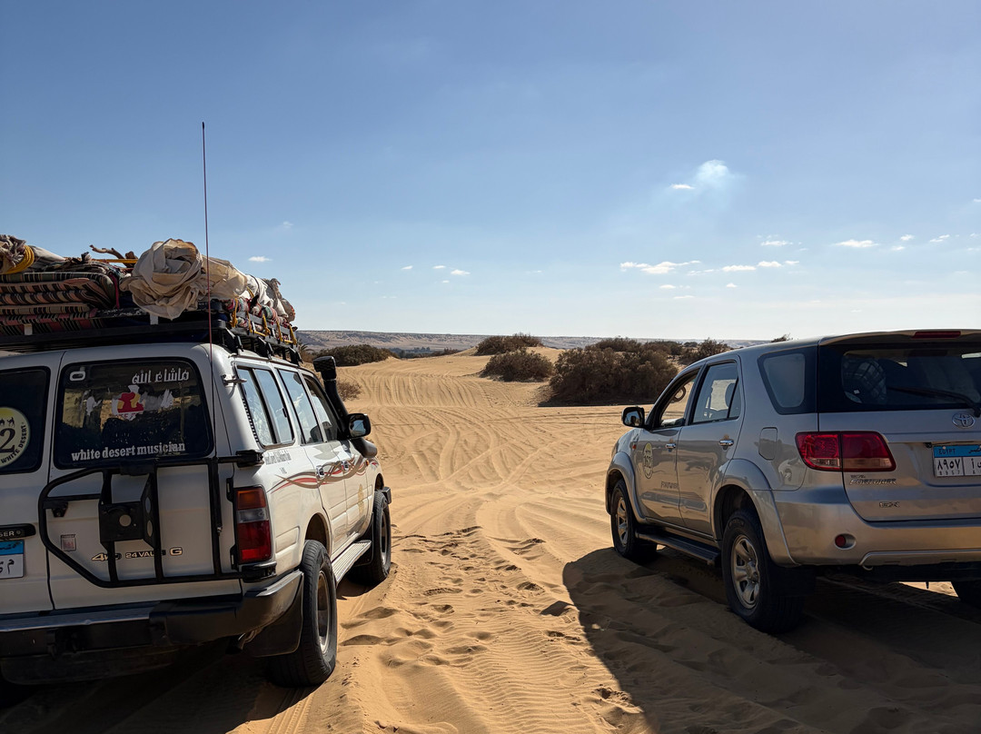 Marsa Alam Tours-马萨阿拉姆必去景点