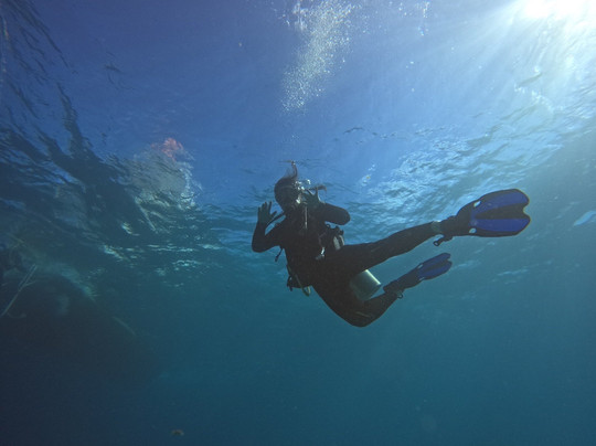 Blue Water Divers-拉哥岛必去景点