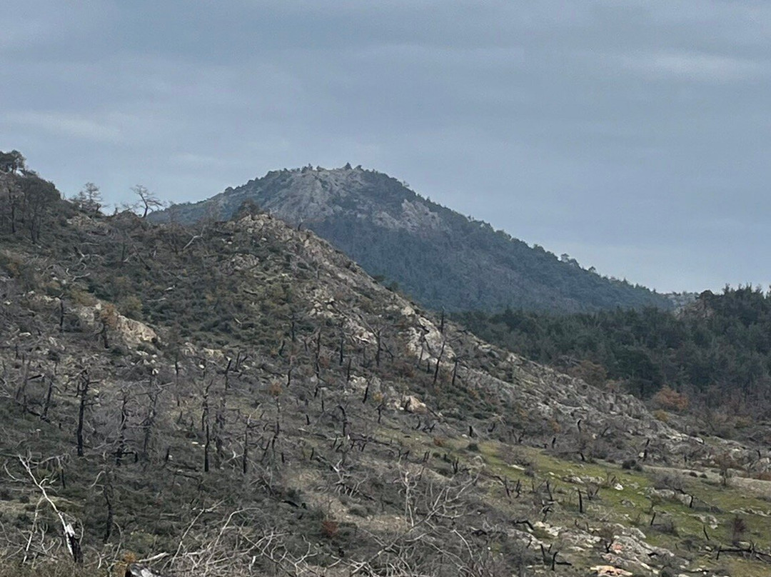 Dadia-Lefkimi-Soufli Forest National Park-Dadia必去景点