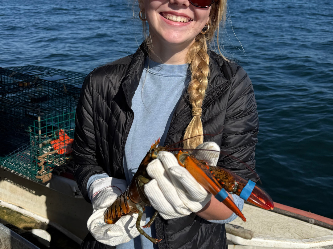 Swan's Island Charters-Swans Island必去景点