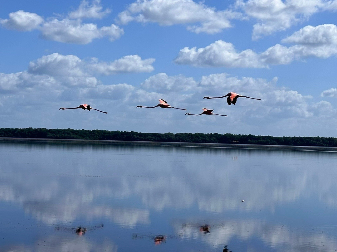 Yucango-梅里达必去景点