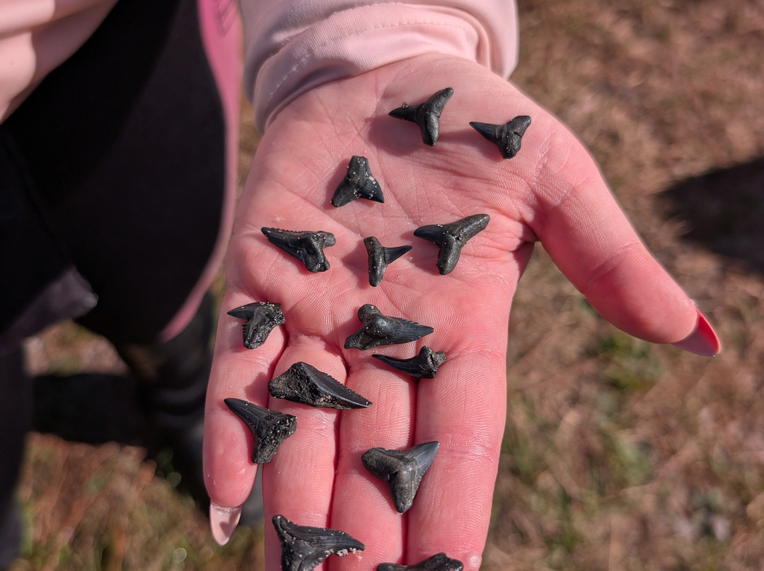 Peace Paleo Adventures-Wauchula必去景点