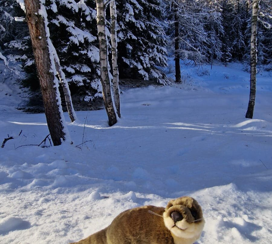 Centro Visitatori Acqua e Biodiversità-Rovenaud必去景点
