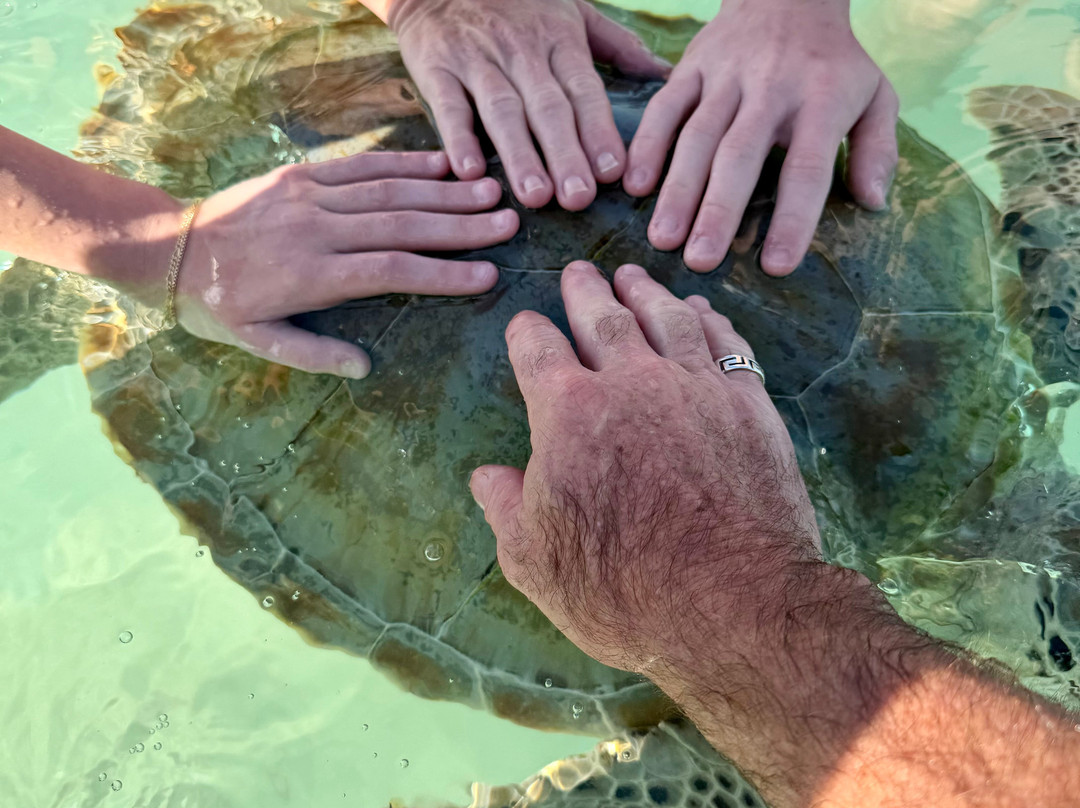 Tyman Fishing Charters-Spanish Wells必去景点