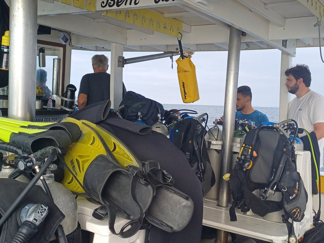 Narwhal-伊利亚贝拉必去景点