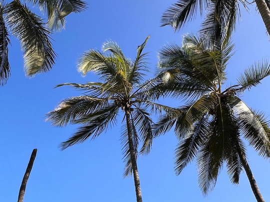 Tayrona Tented Lodge主图