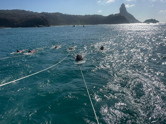 Noronha Passeios-费尔南多-迪诺罗尼亚群岛必去景点