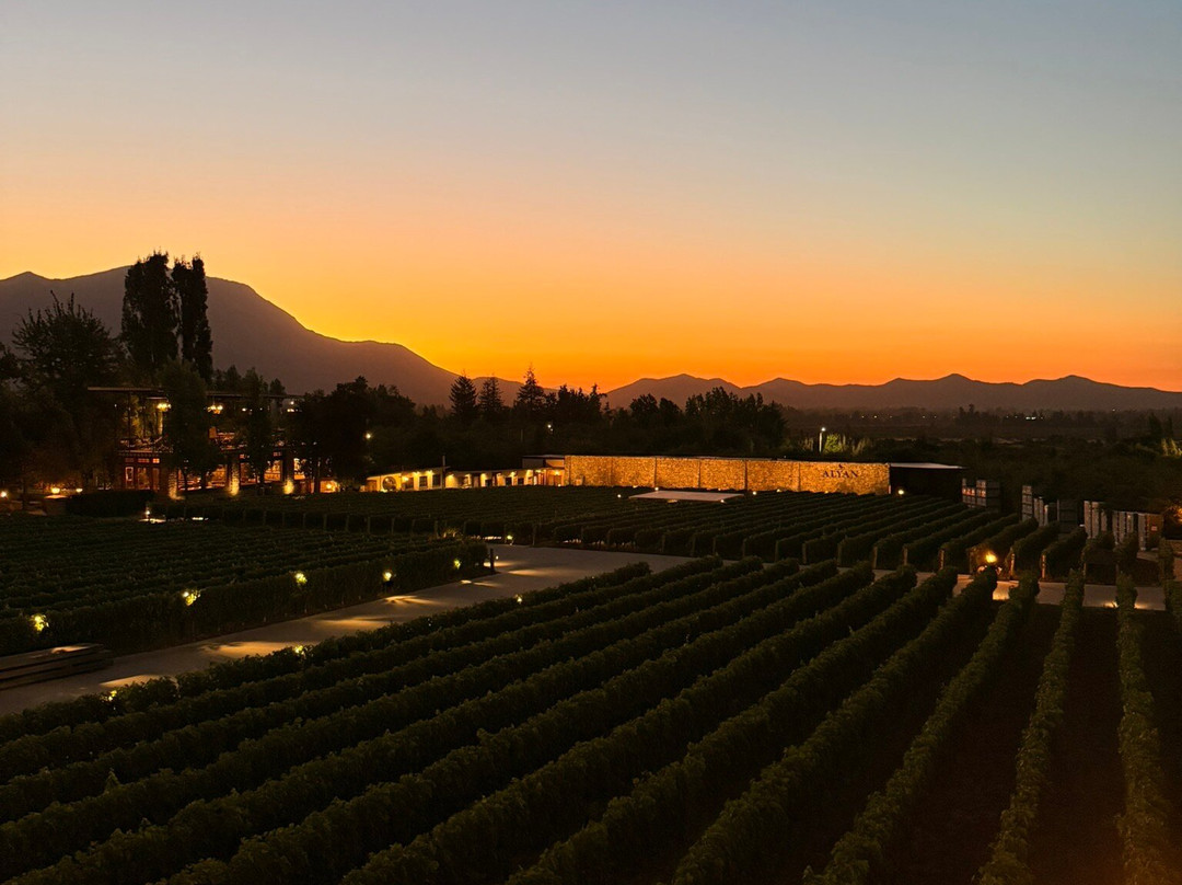 Alyan Family Wines-Pirque必去景点