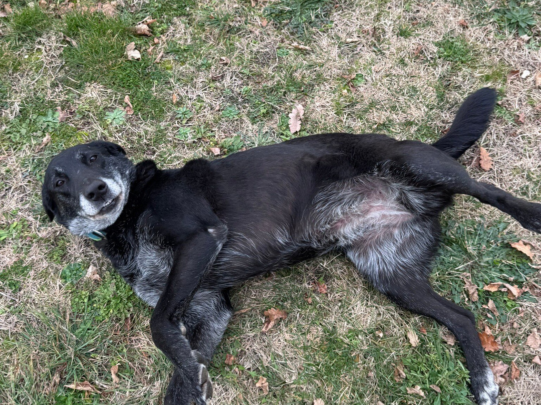 Decugnano dei Barbi-奥尔维耶托必去景点