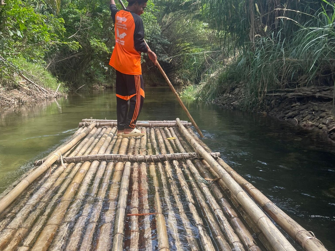 Phang Nga Elephant Park-攀牙必去景点