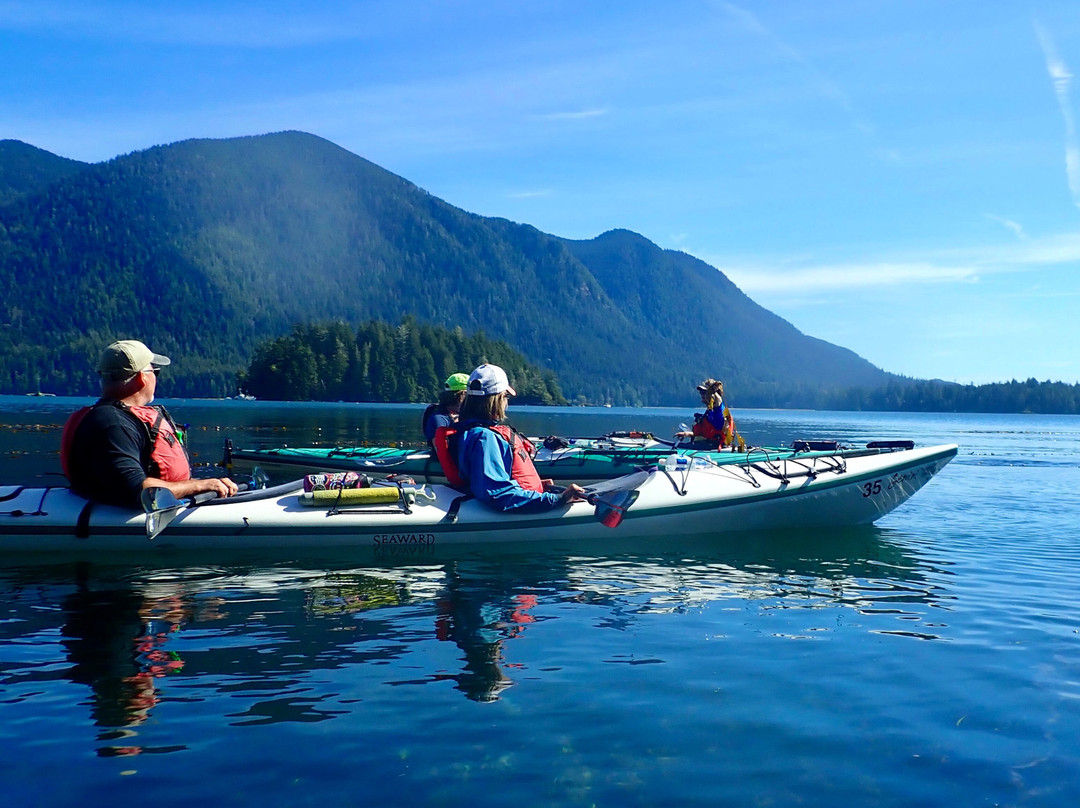 Tofino Sea Kayaking Day Tours-托菲诺必去景点