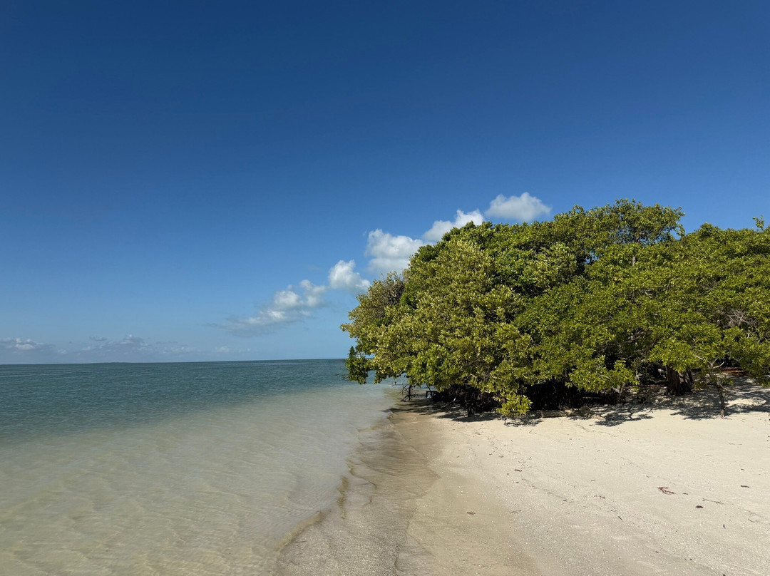 VivaOhlala-普拉亚德尔卡曼必去景点