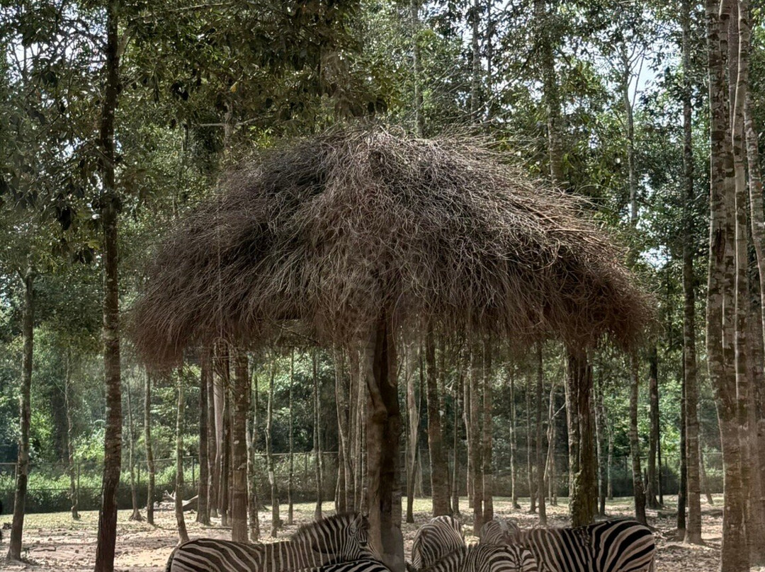 珍珠王国野生动物园-富国岛必去景点