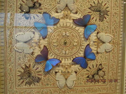 Delta One Lounge-牙买加必去景点