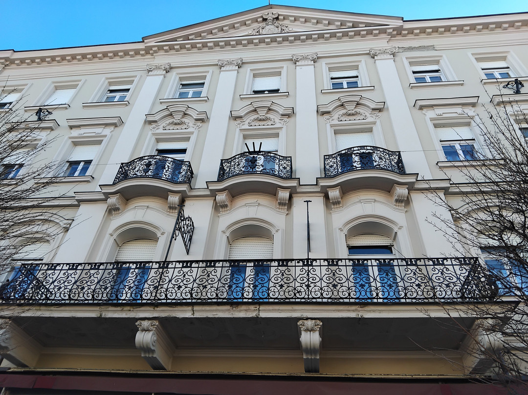 潘诺尼亚酒店主图