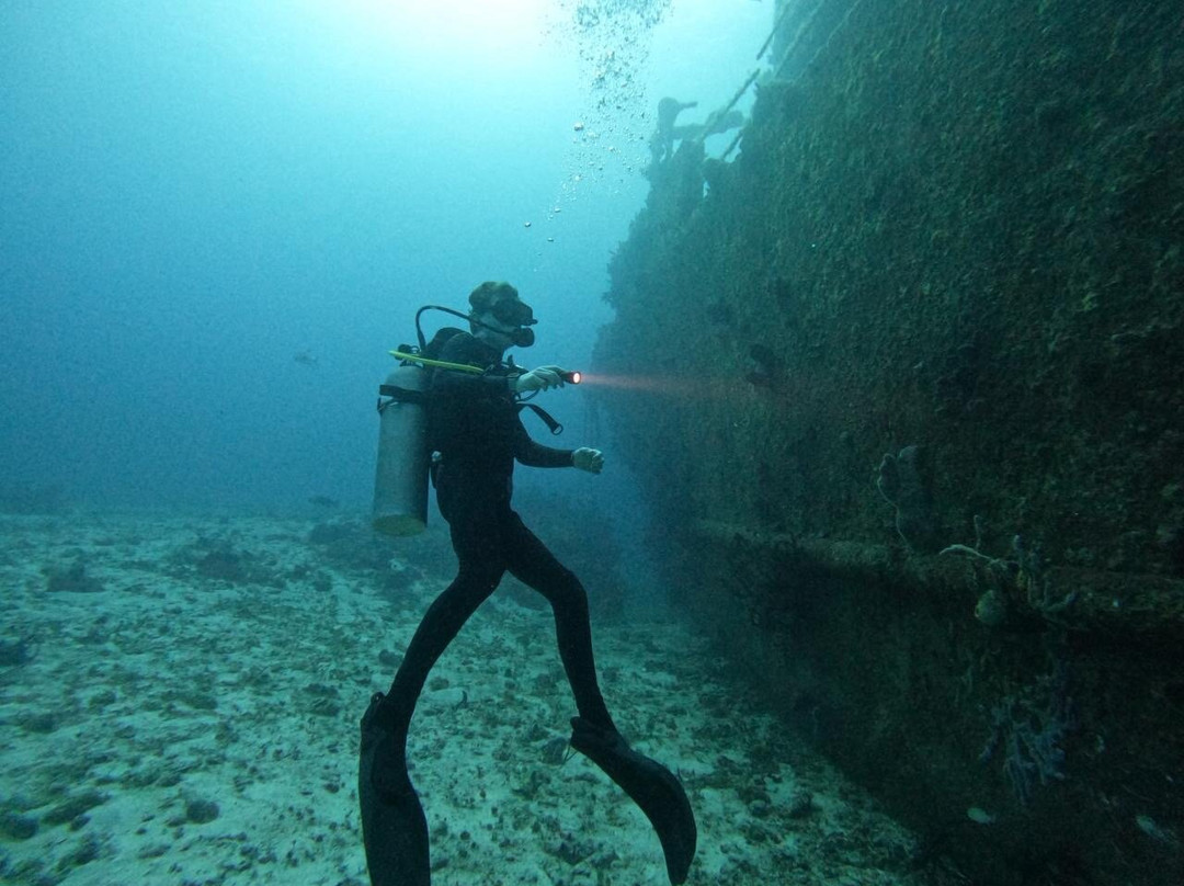 King Scuba Dive Center-从莫雷洛斯港必去景点