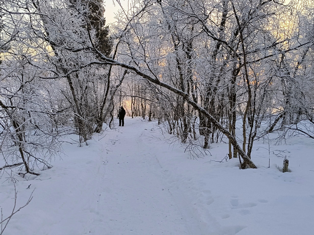 老爷爷极光团-基律纳必去景点