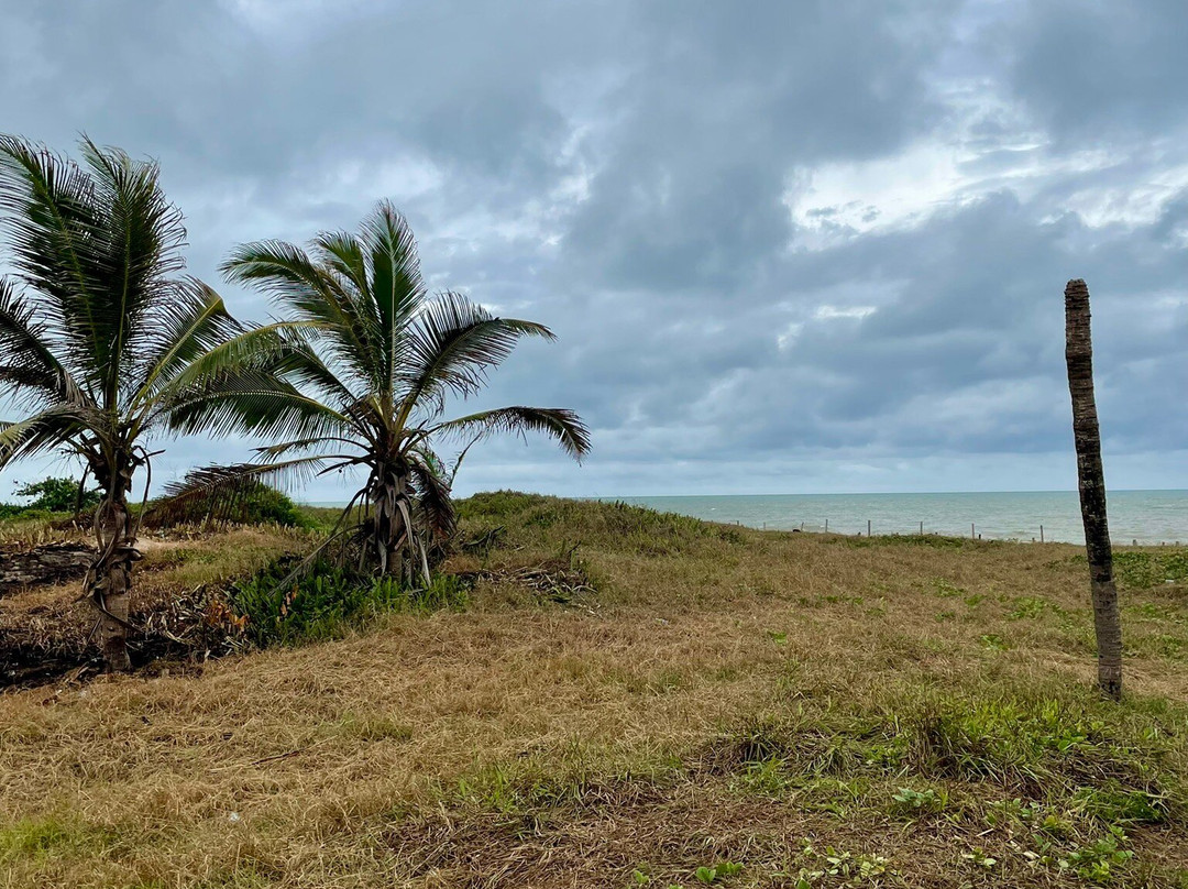 Praia Guriri-Guriri必去景点