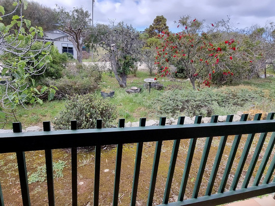 无花果树床和早餐酒店主图