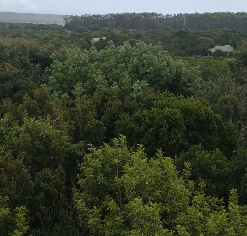Parque Nacional Chiloé-奇洛埃岛必去景点