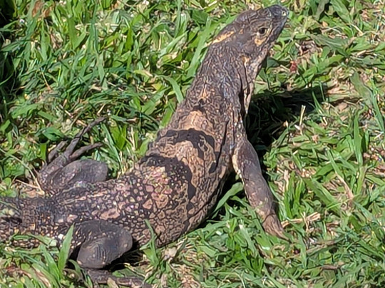 Canal Grande Lodge主图