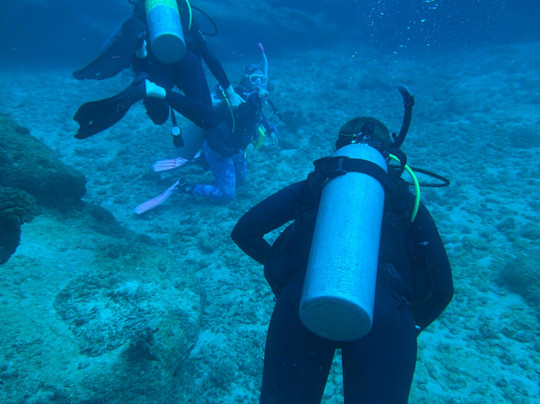 Fathom Five Divers-可洛亚必去景点