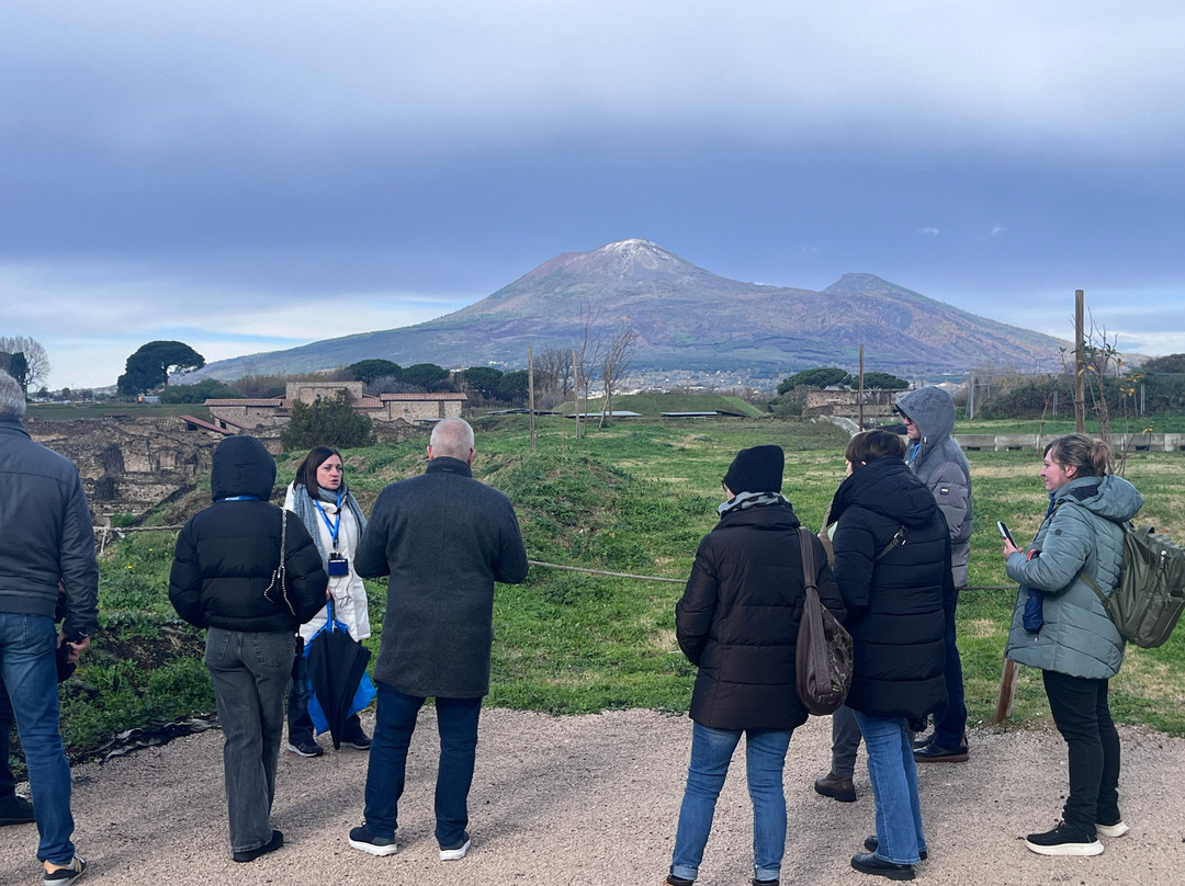 ionapolietu tour e visite guidate-那不勒斯必去景点