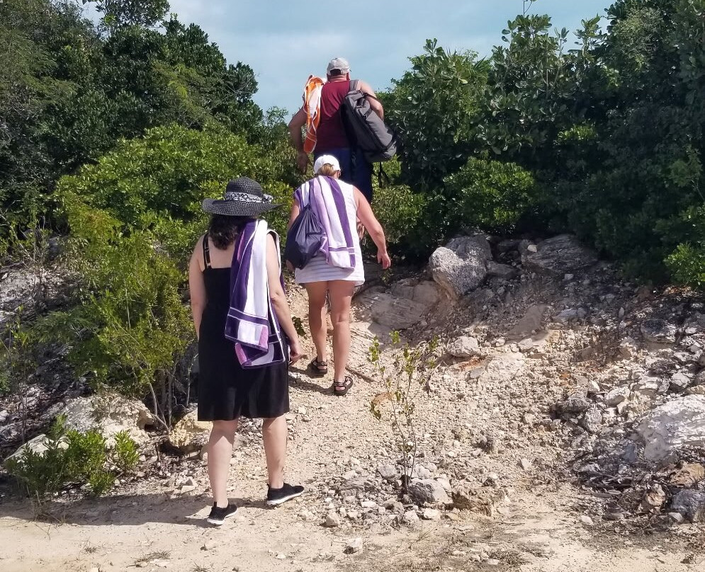 Long Bay Beach-普罗维登西亚莱斯必去景点