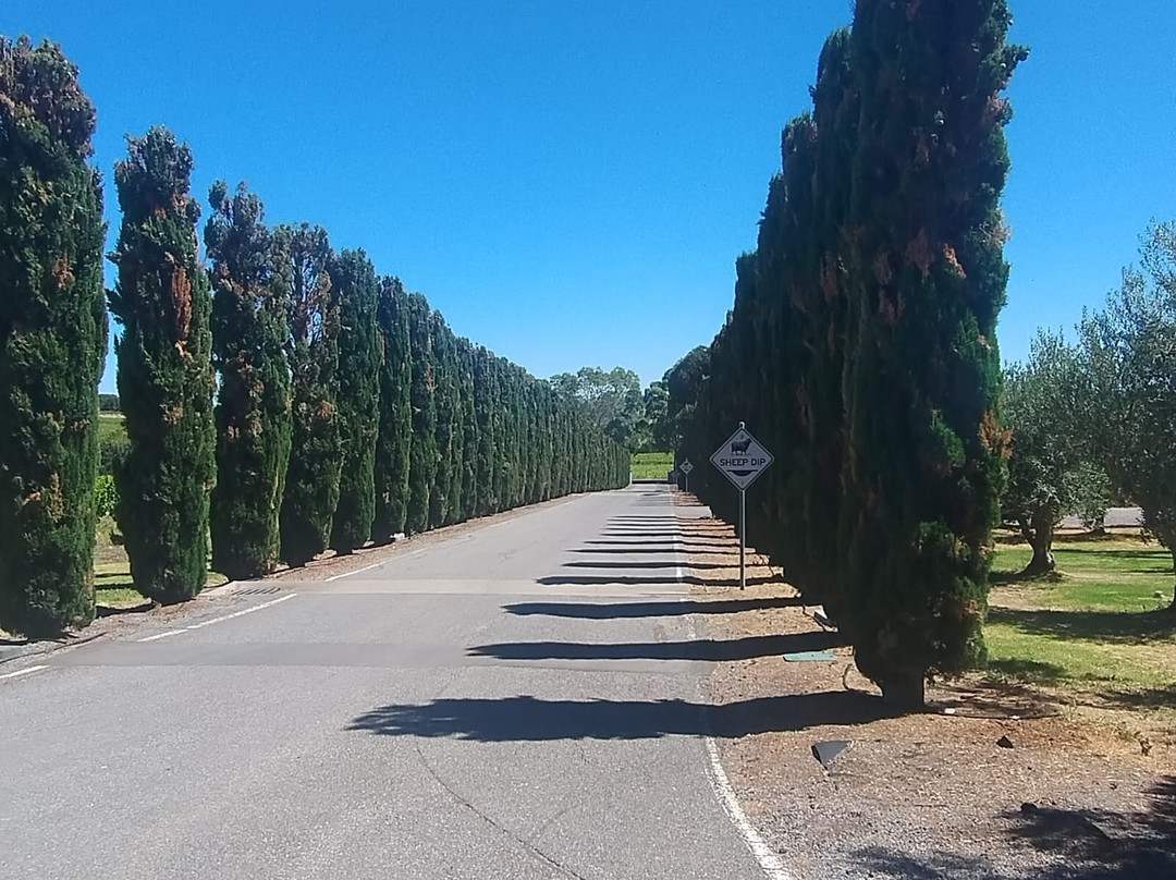 Hugh Hamilton Wines-麦克拉伦谷必去景点