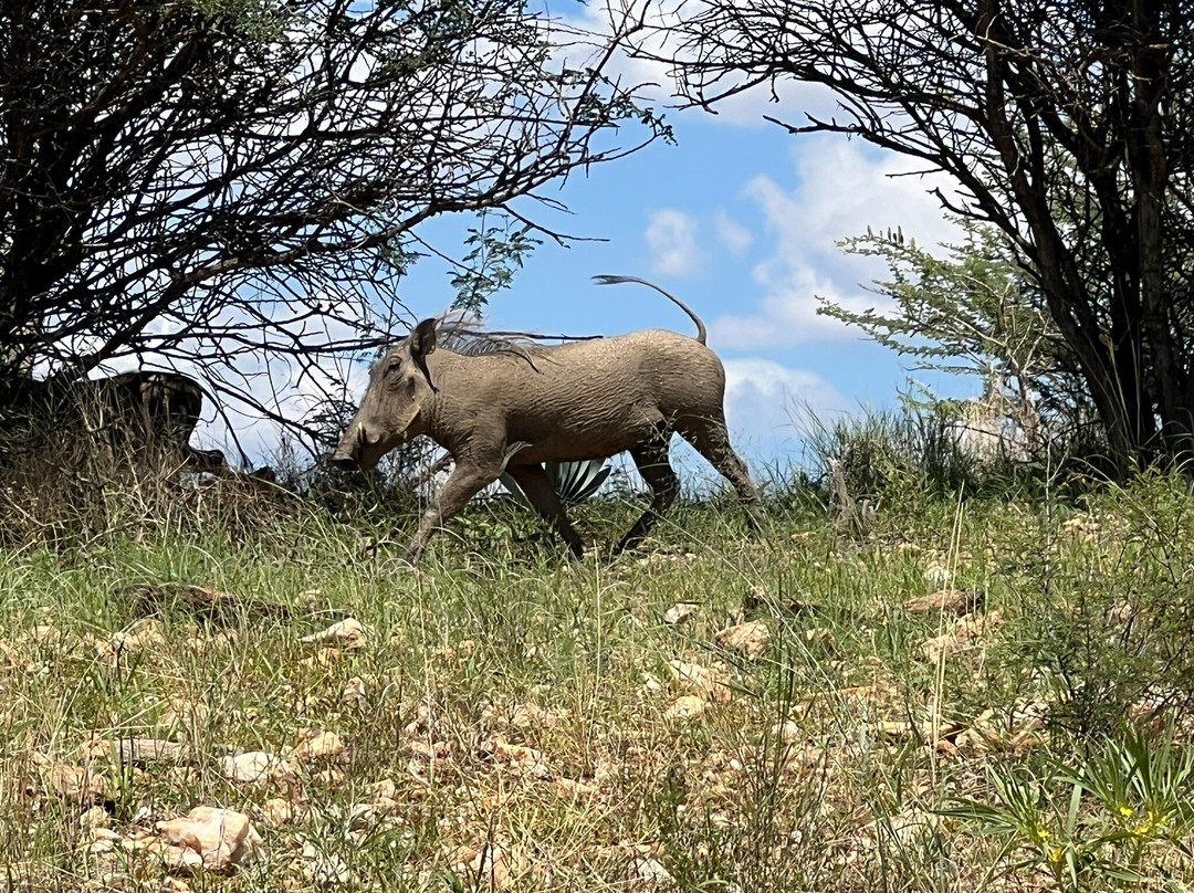 Daan Viljoen Nature Reserve-温德和克必去景点