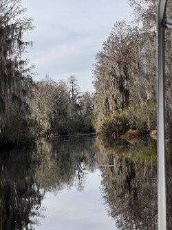 Okefenokee National Wildlife Refuge-Folkston必去景点