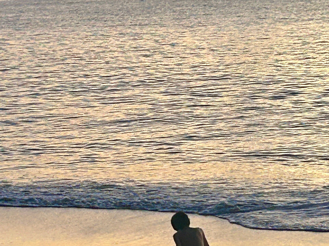 Conch Beach Cabins主图